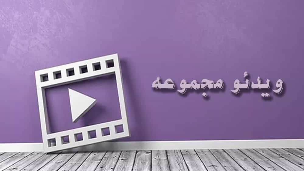 Immigration Cans Videos